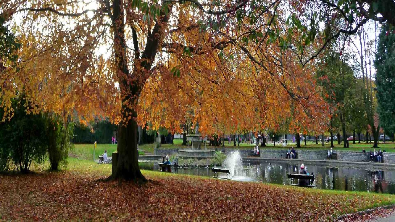 Fitzgerald Park, Cork